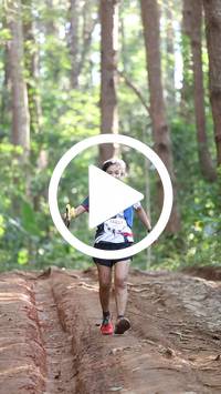 BIB:  <button type="button" onclick="openModal(26569678)" class="btn btn-primary btn-sm float-right" data-toggle="modal" data-target=".modal-high-quality">
                <i class="fa fa-download"></i> Download
                </button>